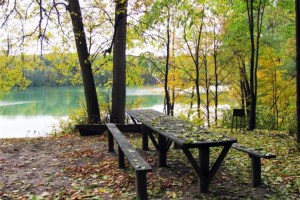 Дворец Тарновских, Качановка